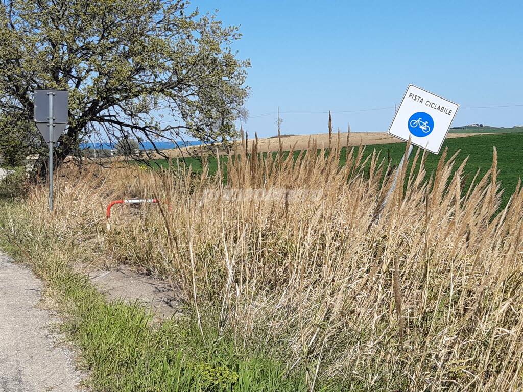 Pista ciclabile querce grosse Montenero