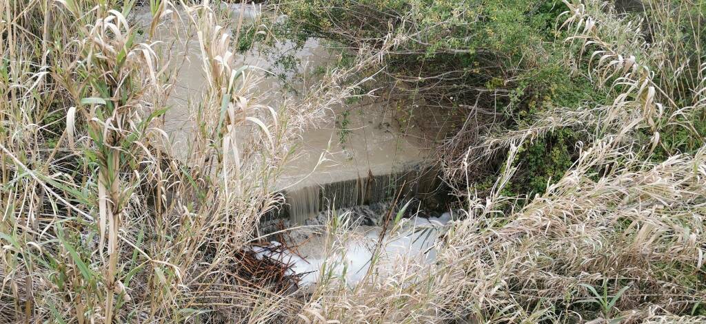 Schiuma torrente biferno inquinato detersivi ambiente depuratore  