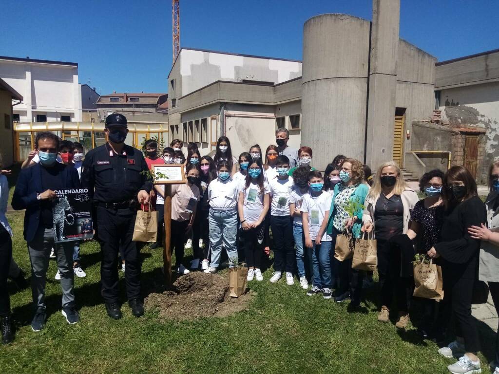 albero per il futuro scuola dewey