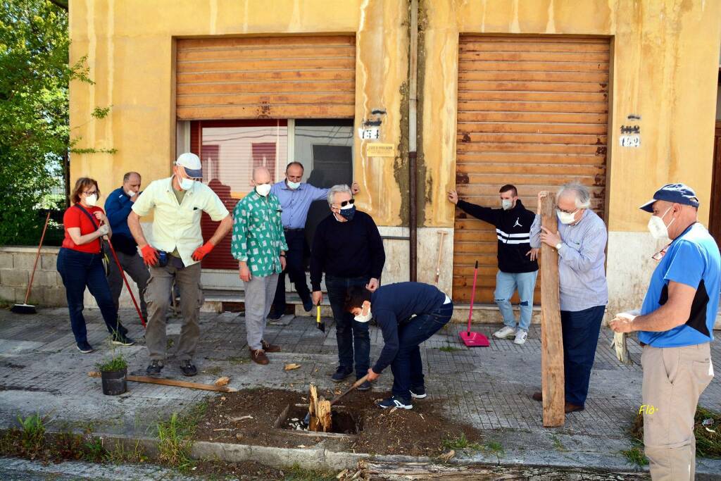 Bojano un albero per ogni nato