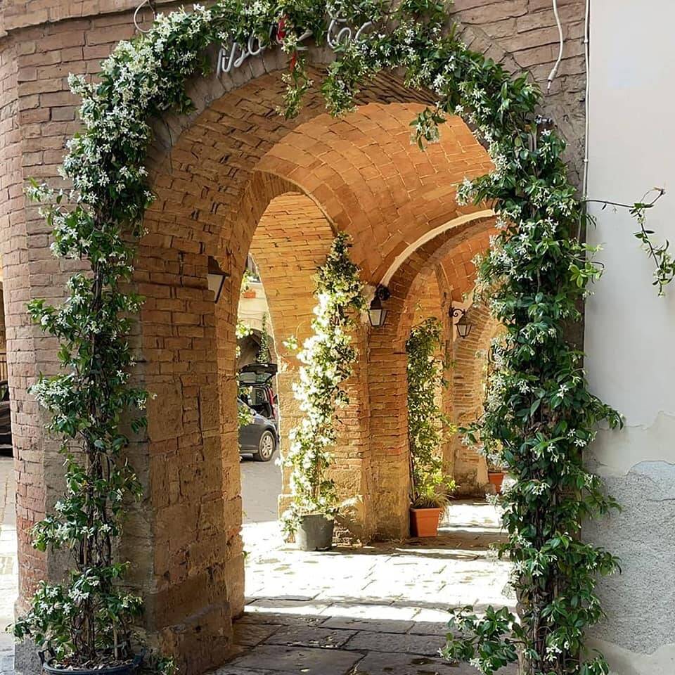 guglionesi in fiore giardini verde pro loco colleniso