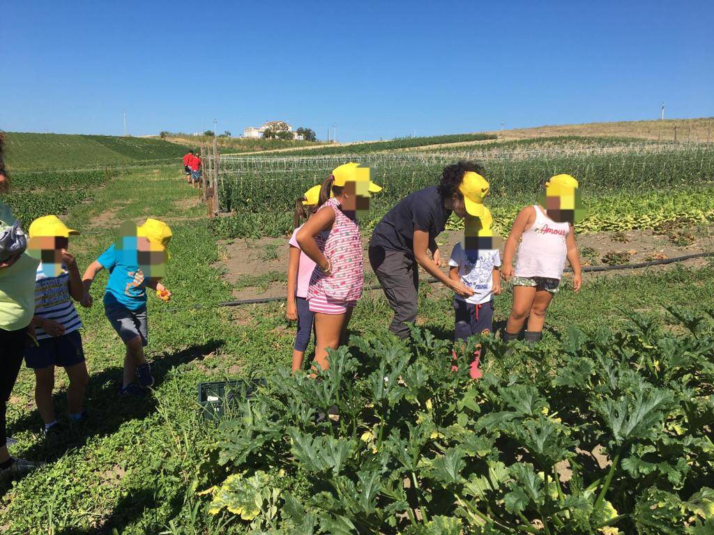 Fattoria Di Vaira