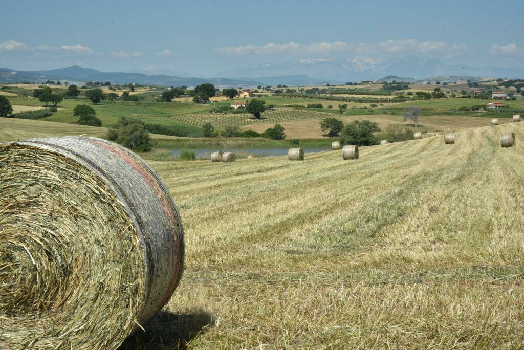 Fattoria Di Vaira