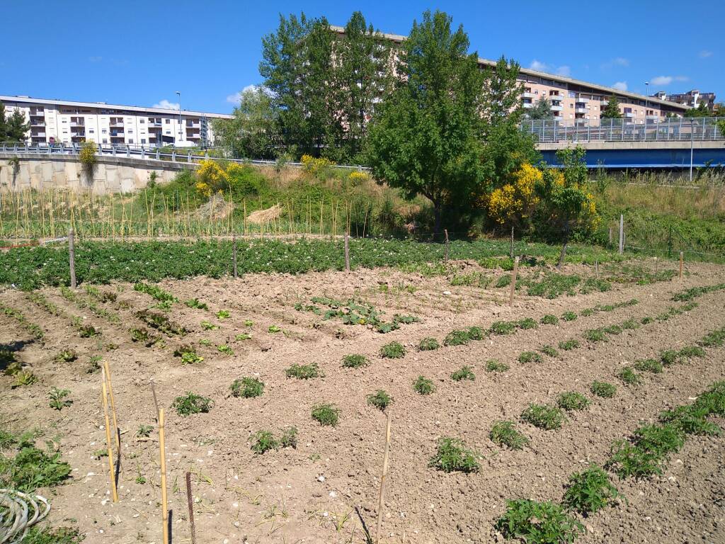 orto urbano via campania 