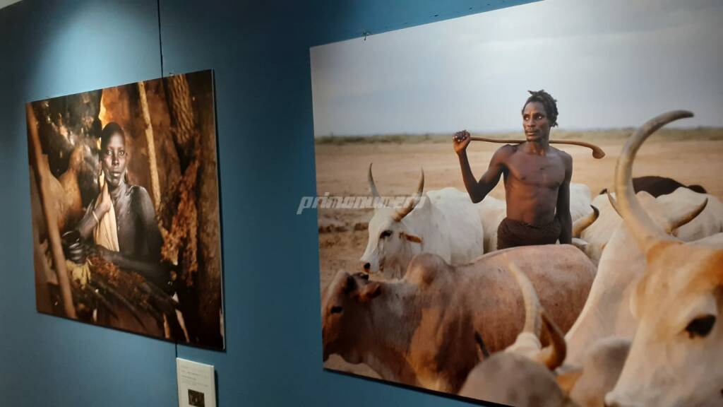 Molichrom, inaugurata la mostra di Lawrence