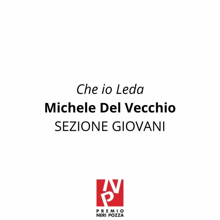 Premio neri pozza michele del vecchio