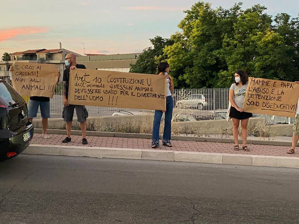 Circo mosca termoli proteste cartelli 