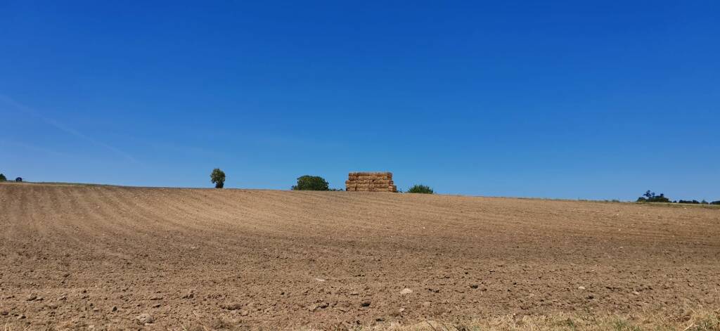 meteo cielo campo siccità natura terra