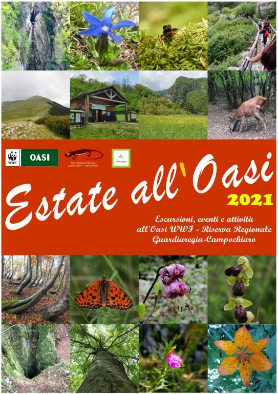 estate oasi guardiaregia