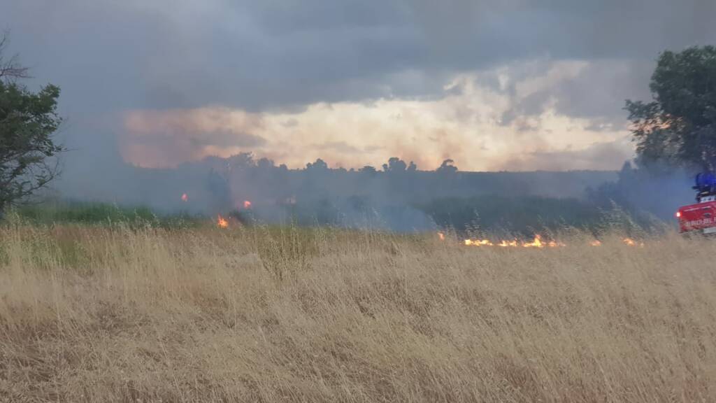 incendio bosco fantine