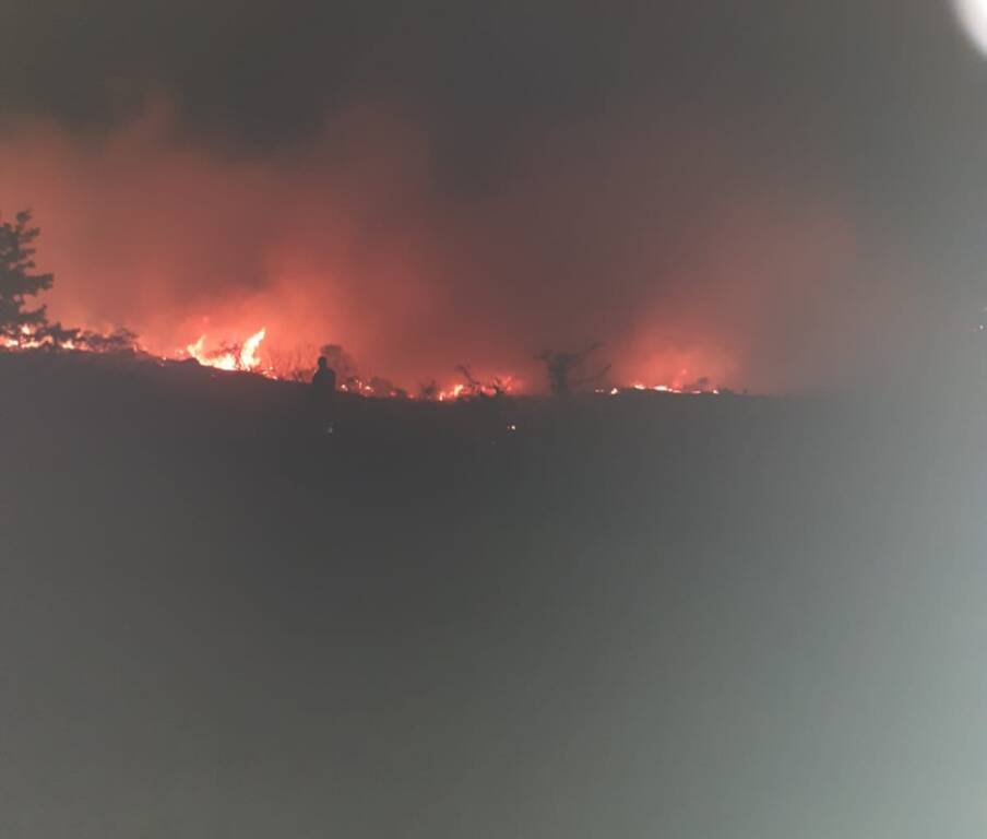 Incendio Collina Santa Maria di Monteverde