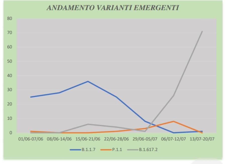 report varianti delta scutellà