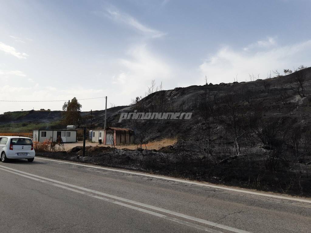 Campomarino incendi vegetazione bruciata