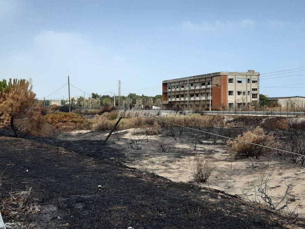 Campomarino incendi vegetazione bruciata