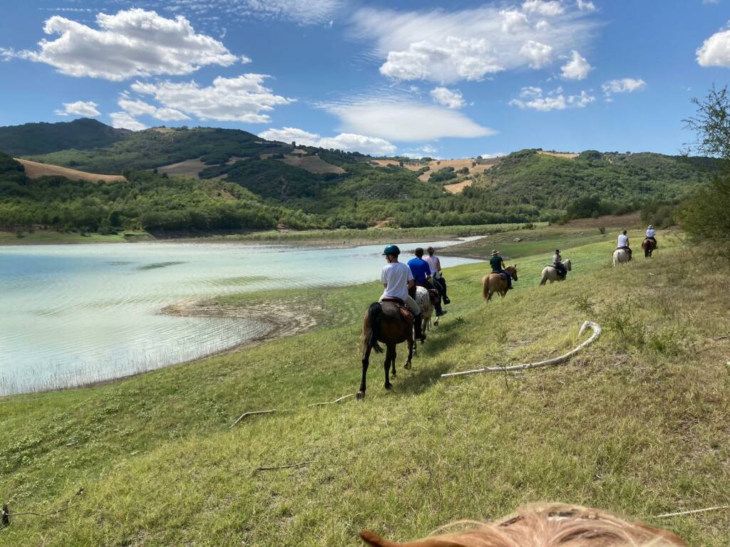 cavalli turisti lago natura foto pizzuto