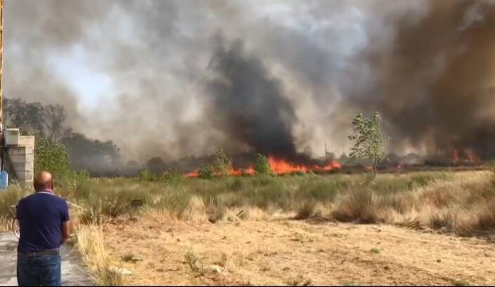 Campomarino fuoco incendio Pineta