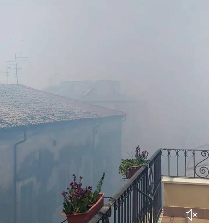 Guglionesi incendio estate 2021