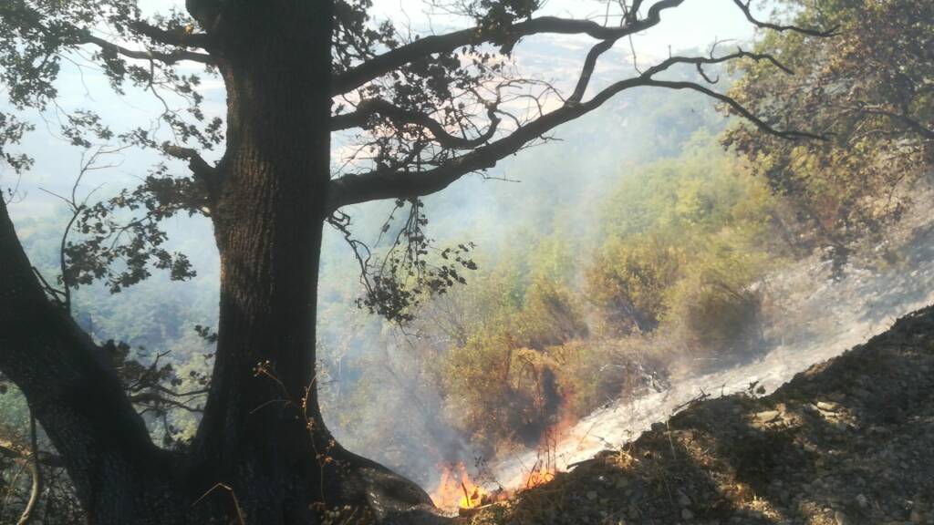 incendio bosco rotello 