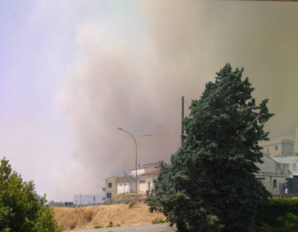 Incendio guglionesi estate 2021