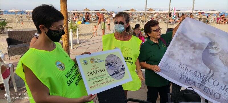 lido nettuno campomarino amico fratino lucchese