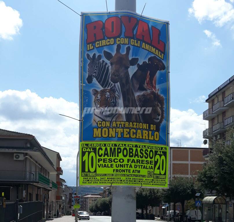 Circo manifesti Campobasso 