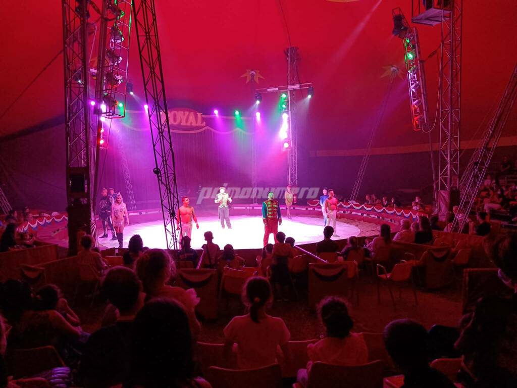 circo royal