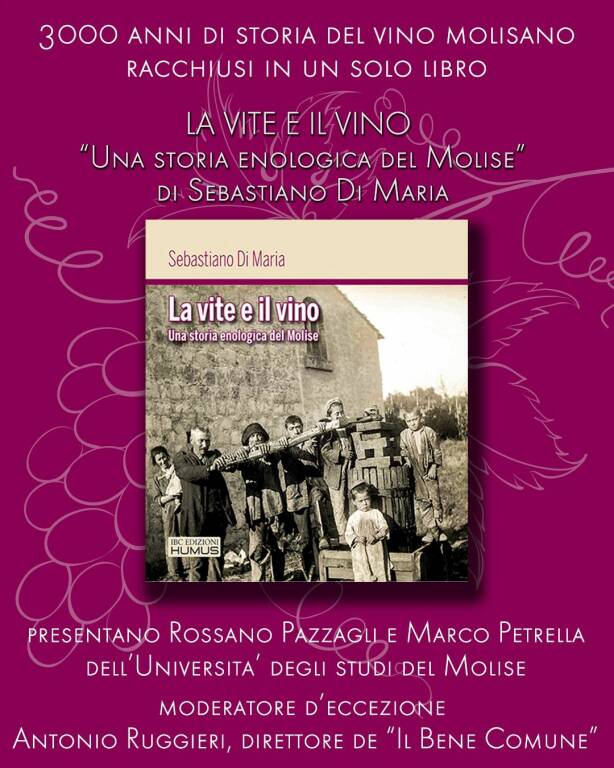 libro la vite e il vino sebastiano di maria