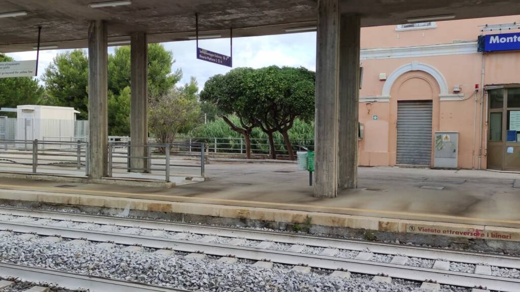 Stazione Petacciato sottopasso cestini potatura