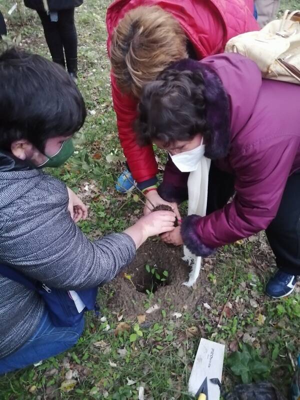 centro san damiano ambiente basso molise