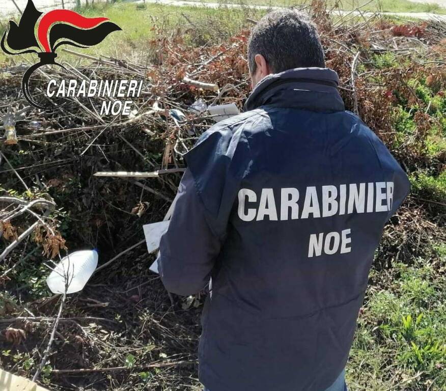 Carabinieri noe sequestro rifiuti legno