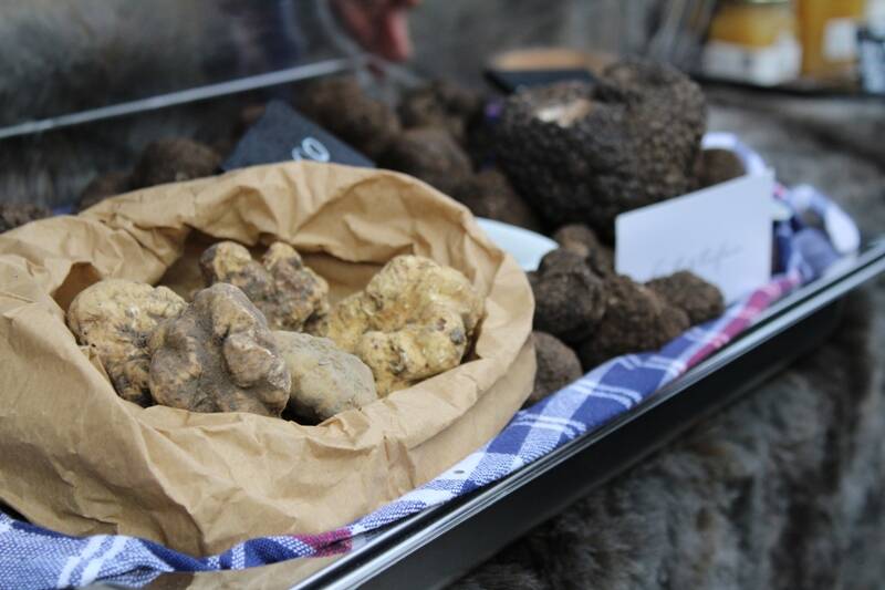 mostra tartufo bianco