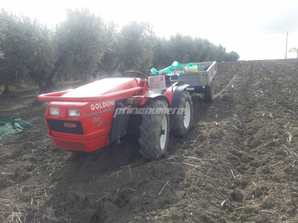 trattore campagna agricoltura