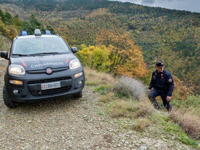 carabinieri forestali