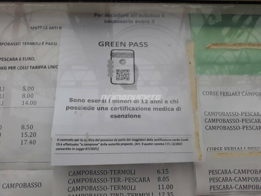 Studenti terminal autobus Campobasso primo giorno green pass