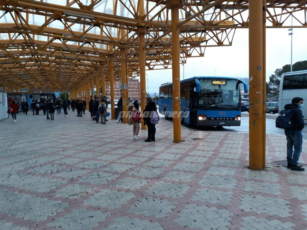 Terminal autobus Campobasso green pass primo giorno 