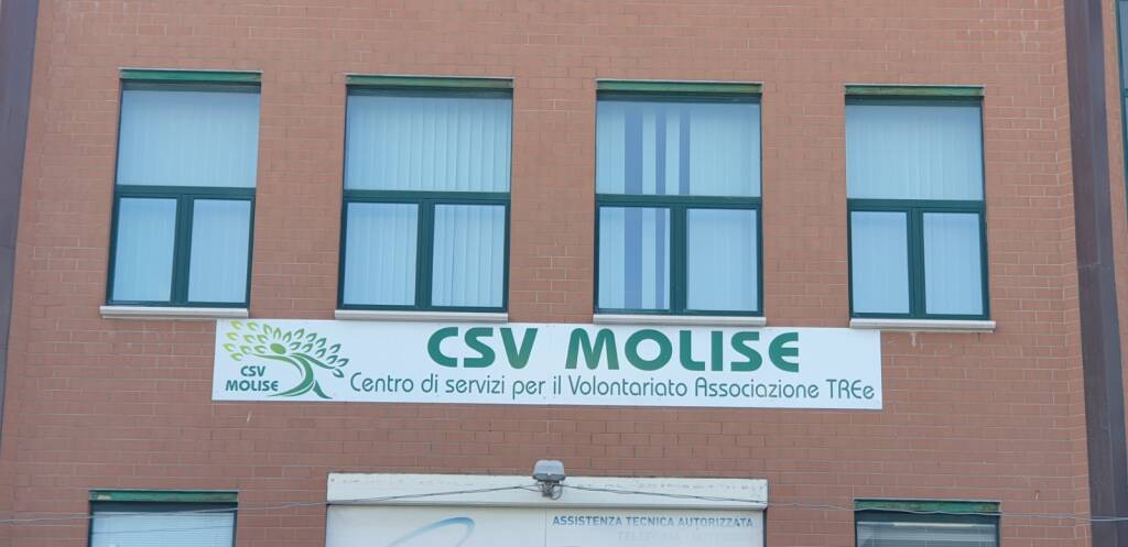 csv molise