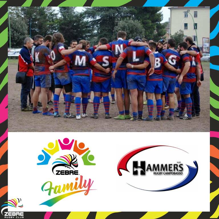 hammers rugby zebre