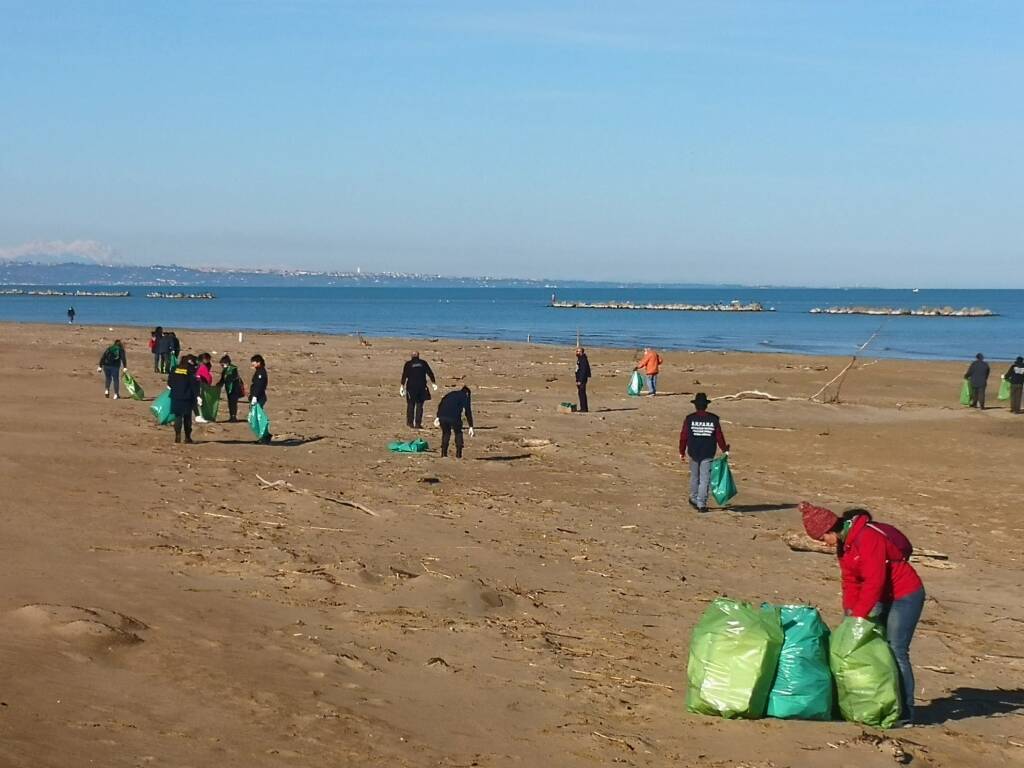 Mare d'inverno, pulizia in spiaggia a Termoli