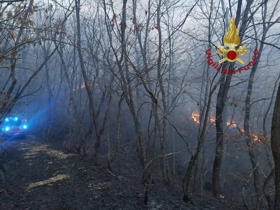 incendio bosco macchiagodena