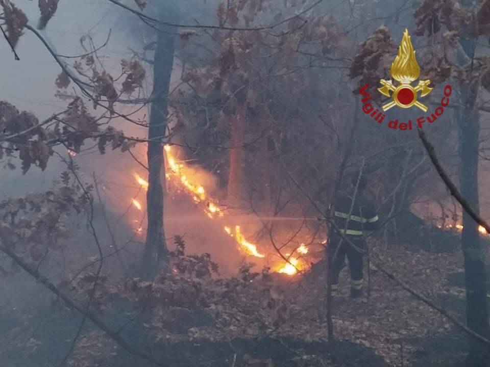 incendio bosco macchiagodena