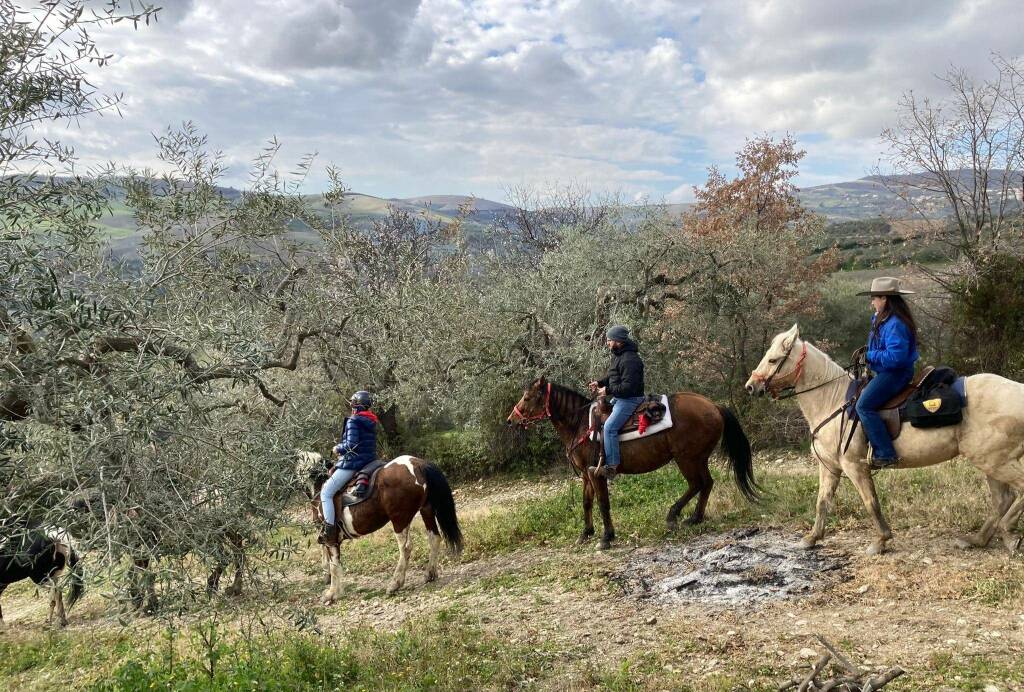 trekking cavallo ulivi colletorto luigi pizzuto