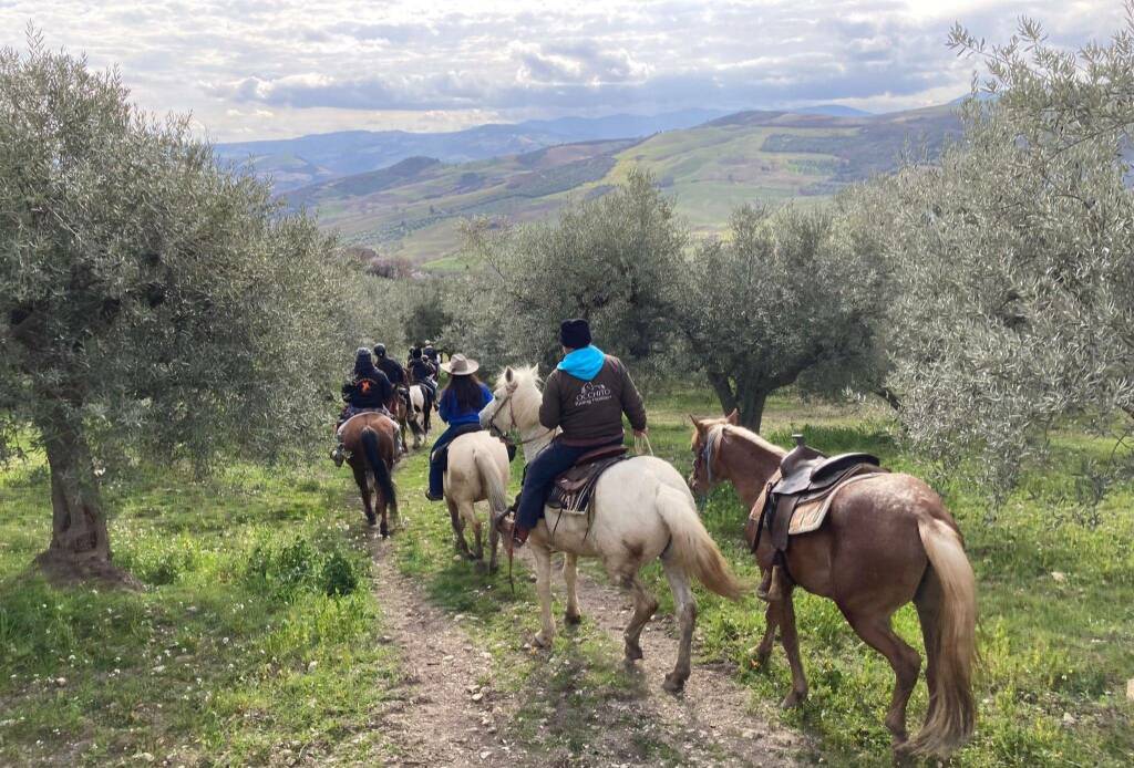 trekking cavallo ulivi colletorto luigi pizzuto