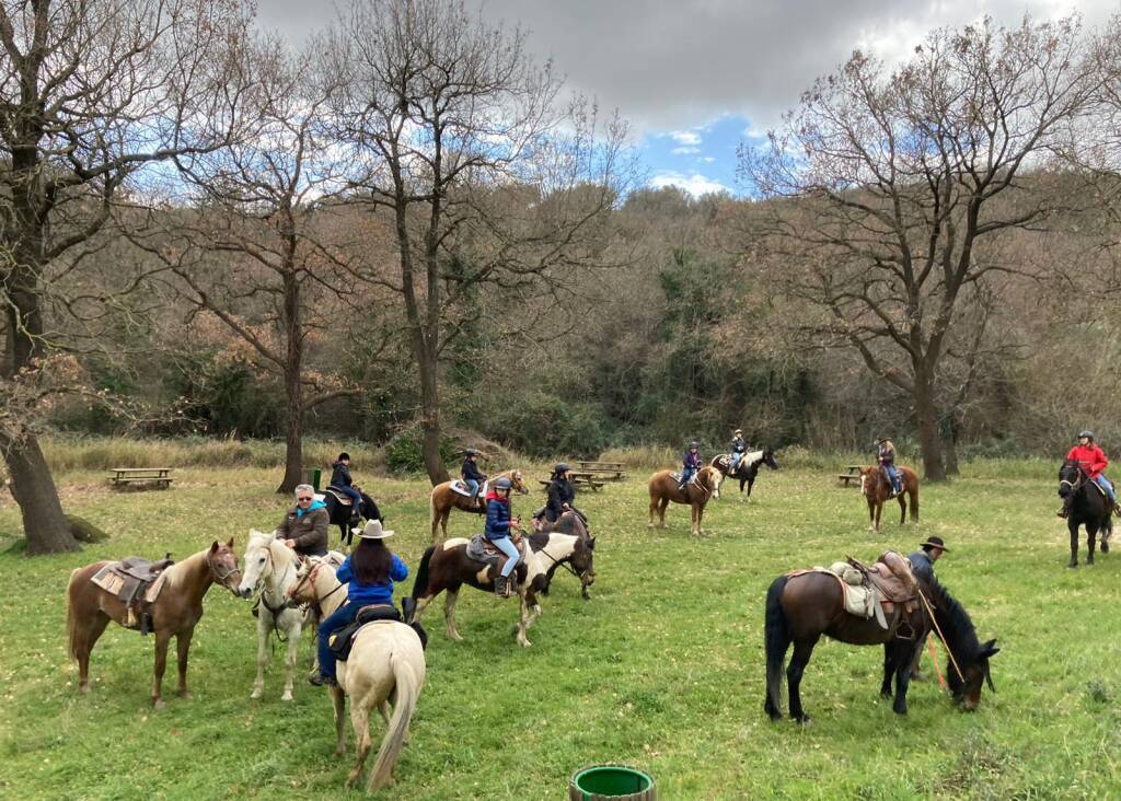 trekking cavallo ulivi colletorto luigi pizzuto