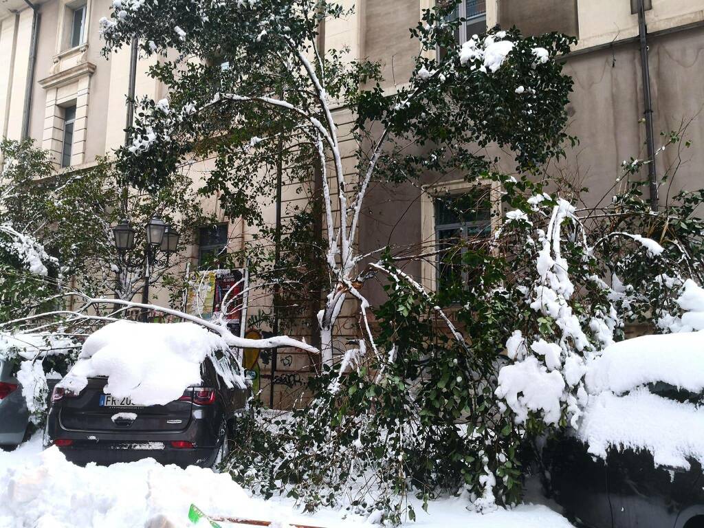 alberi rami spezzati neve 28 febb