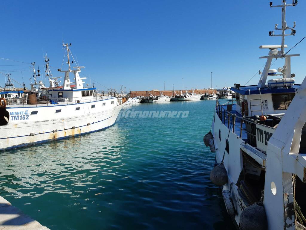 Pescherecci barche porto