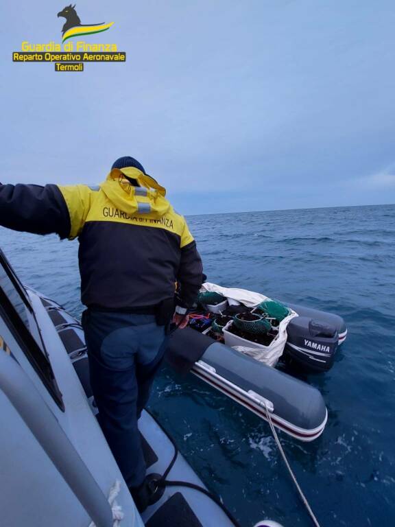 ricci di mare roan sequestro