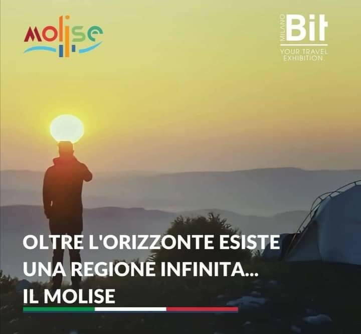 molise bit