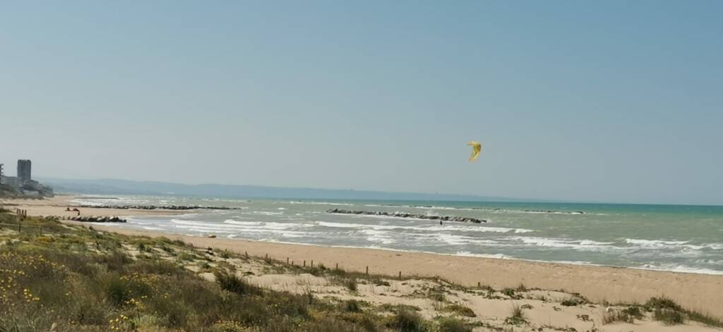 spiaggia lidi preparazione aprile 22