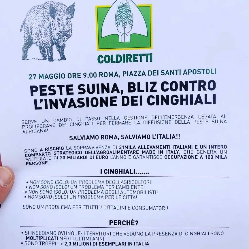 manifestazione roma coldiretti cinghiali