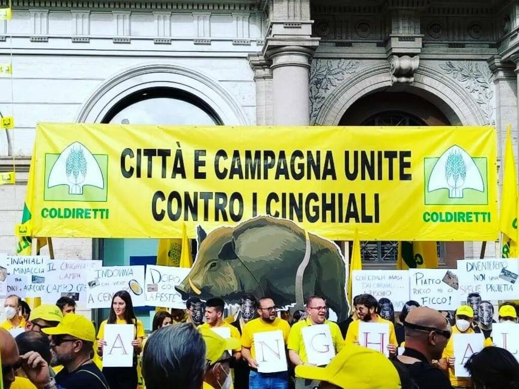 manifestazione roma coldiretti cinghiali